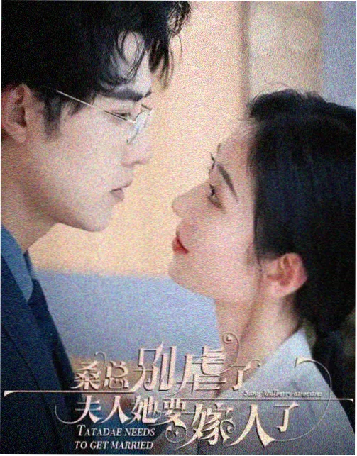 都挺好 剧集海报