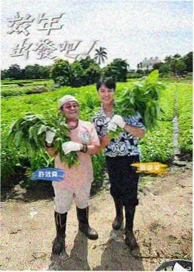 乐队的夏天 综艺海报